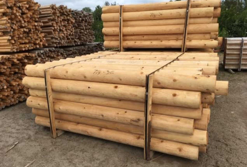 Michigan White Cedar KJP Sales