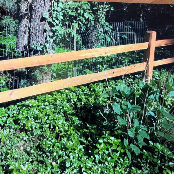 Red Cedar Split Rail Fence