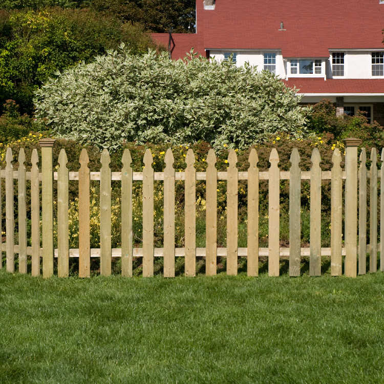 42" French Gothic Picket Wood Fence Panels